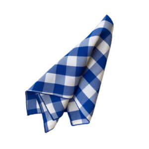 Gingham Blue Napkins