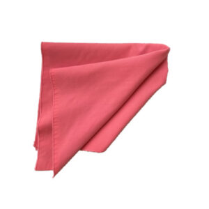 Watermelon Napkins