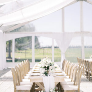 Clear Frame Tent - 40' x 45'