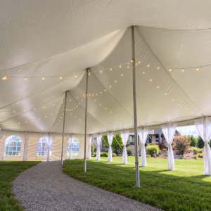 Canopy Cafe Lights (30')